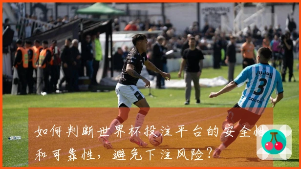 如何判断世界杯投注平台的安全性和可靠性，避免下注风险？