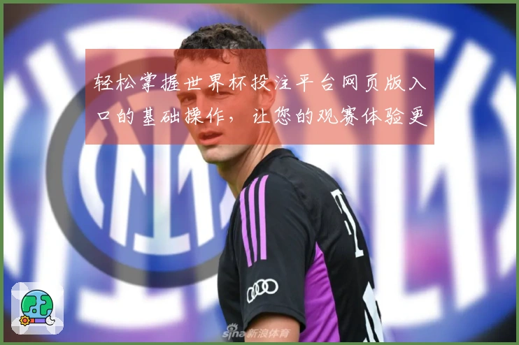 轻松掌握世界杯投注平台网页版入口的基础操作，让您的观赛体验更尽兴