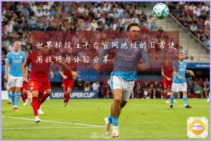 世界杯投注平台官网地址的日常使用技巧与体验分享