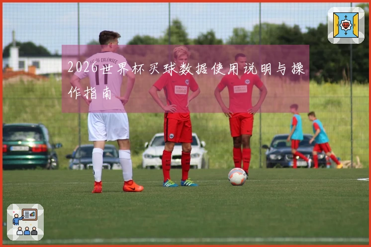 2026世界杯买球数据使用说明与操作指南