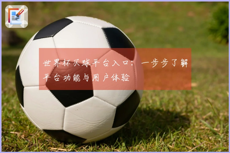 世界杯买球平台入口：一步步了解平台功能与用户体验