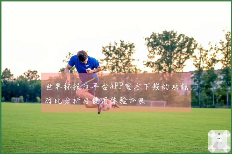 世界杯投注平台APP官方下载的功能对比分析与使用体验评测