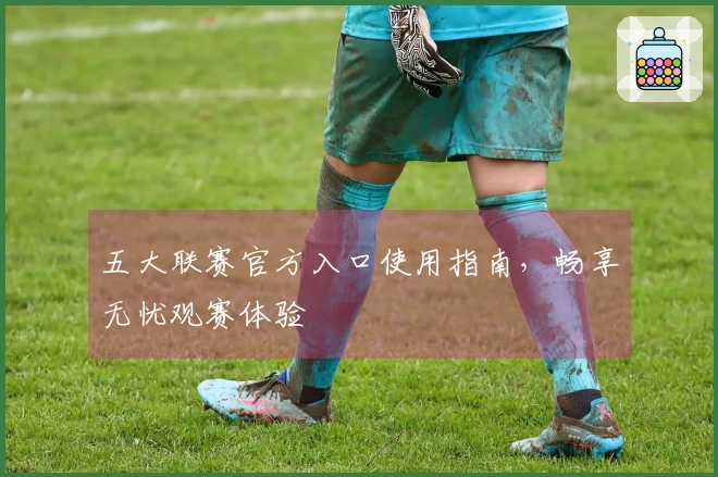 五大联赛官方入口使用指南，畅享无忧观赛体验