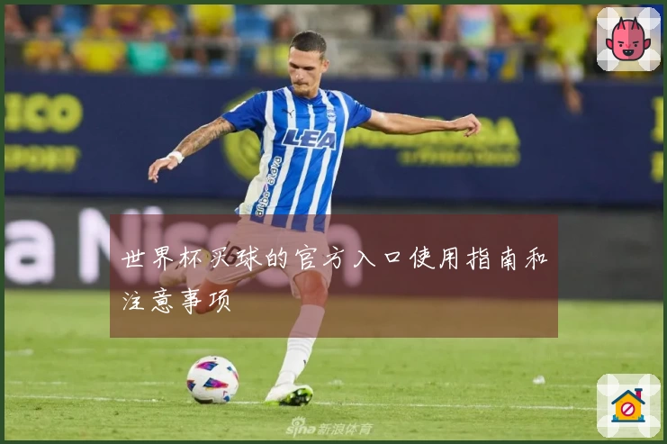 世界杯买球的官方入口使用指南和注意事项