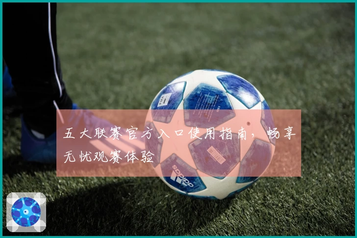 五大联赛官方入口使用指南，畅享无忧观赛体验
