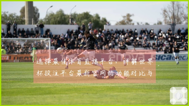 选择最佳体育直播平台,详解世界杯投注平台最新官网的功能对比与使用体验