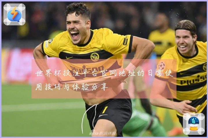 世界杯投注平台官网地址的日常使用技巧与体验分享
