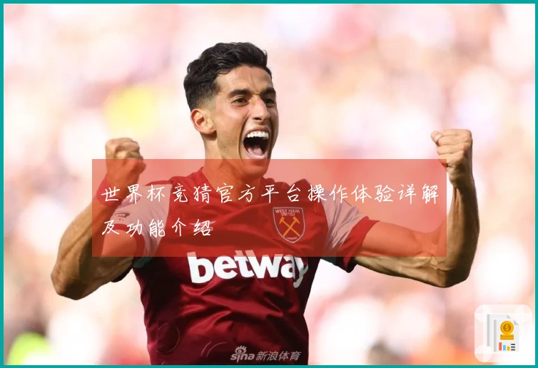 世界杯竞猜官方平台操作体验详解及功能介绍