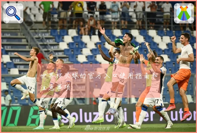 世界杯买球的官方入口使用指南和注意事项