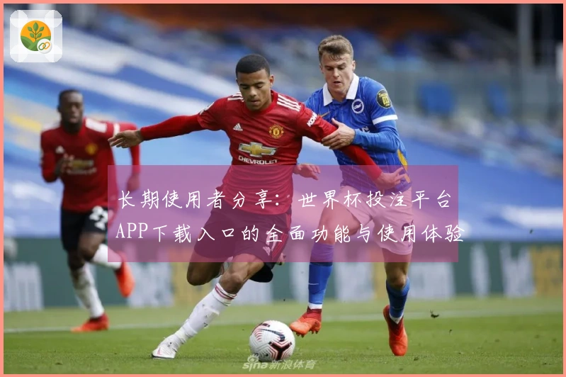 长期使用者分享:世界杯投注平台APP下载入口的全面功能与使用体验评测