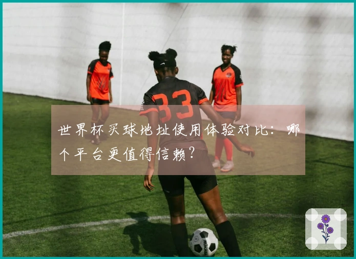 世界杯买球地址使用体验对比:哪个平台更值得信赖?