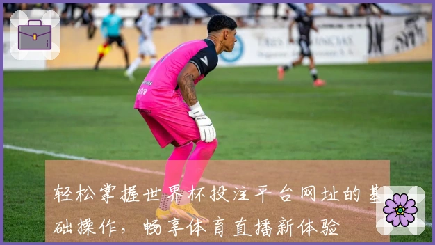 轻松掌握世界杯投注平台网址的基础操作，畅享体育直播新体验