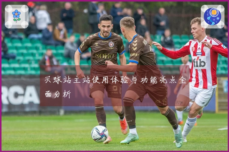 买球站主站使用体验与功能亮点全面分析