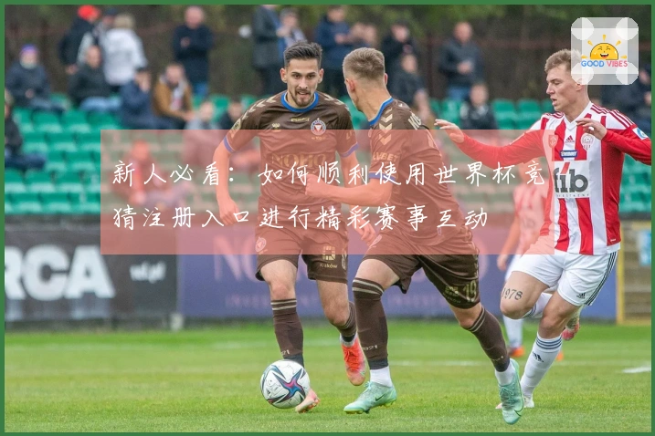 新人必看:如何顺利使用世界杯竞猜注册入口进行精彩赛事互动